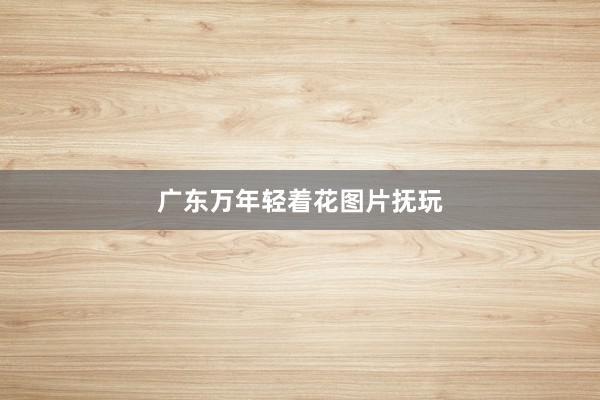 广东万年轻着花图片抚玩